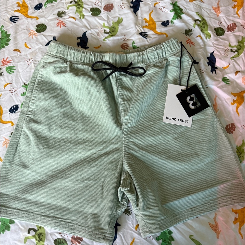 Men's Soft Sage Premium Shorts